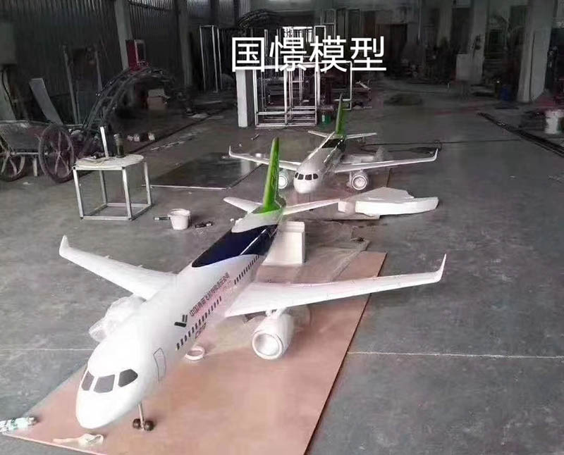 长丰县飞机模型
